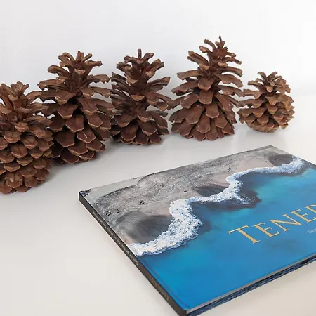 Appartement Bright Cosy 1br 7 Min To Siam Park Mall *